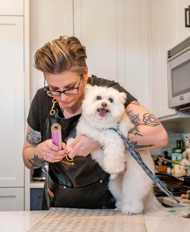 In-home dog grooming process - Manhattan NYC - Luxury Groomer